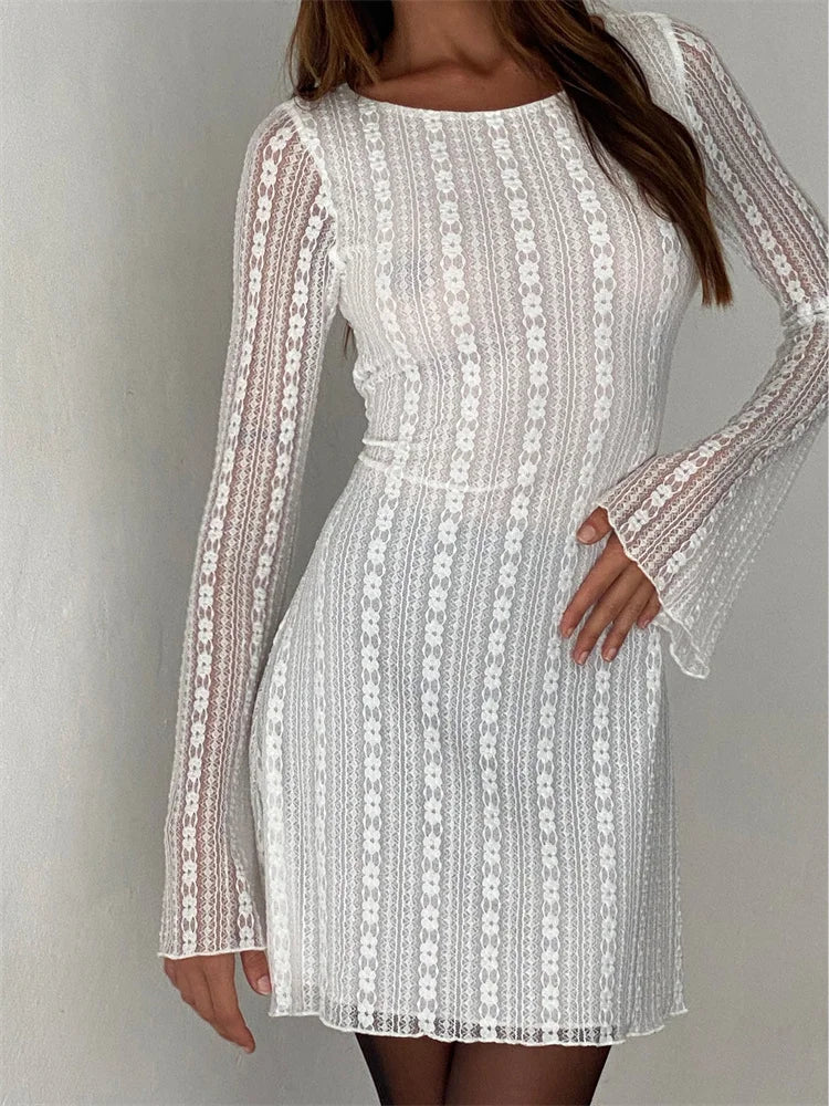 Casual Chic Clothing For Women Mesh See Through Round Neck Mini Dresses